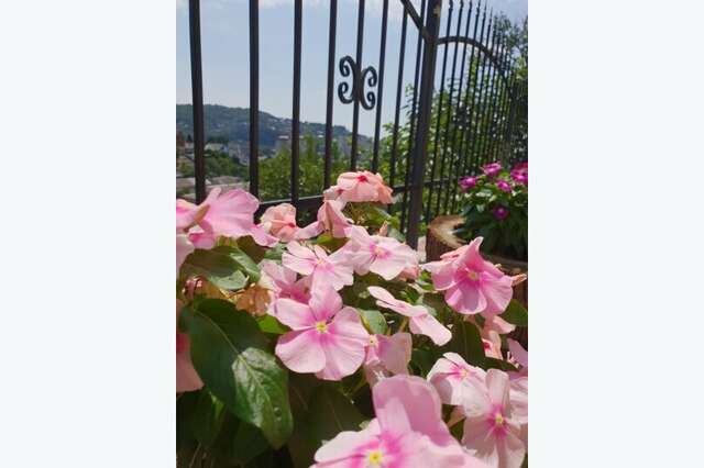 Гостиница У Кота Лазаревское-15